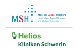 Logo von MSH Medical School Hamburg