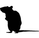 Logo von Apprendis UG