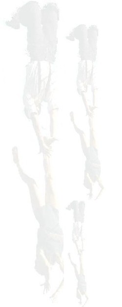 Logo von Michael WOERNER