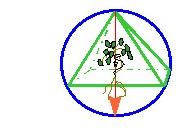 Logo von Praxis Dr. Hien