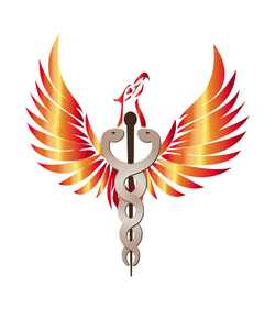 Logo von HANSE THERAPIE GmbH & Co.KG