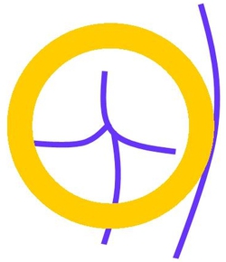 Logo von Enddarmzentrum München-Bavaria