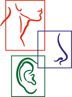 Logo von HNO Prof. Riederer