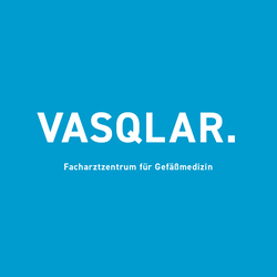 Logo von VASQLAR.